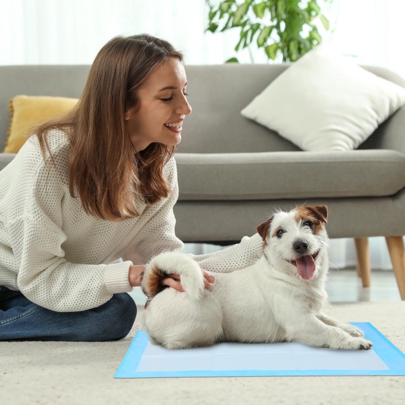 FluffyDream Super Absorbent Waterproof Dog and Puppy Pet Training Pad, Housebreaking Pet Pad,Blue (17.6"x23.6" (50PCS)) - Image 2